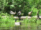 IMG 4696